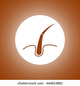 Hair, Web icon. vector design. Flat design style eps 10
