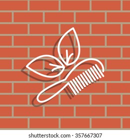 hairbrush vector isolated