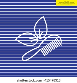 hairbrush vector isolated