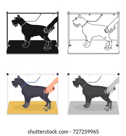 Haircut dogs in a stylish salon. Pet,dog care single icon in cartoon style vector symbol stock illustration web.
