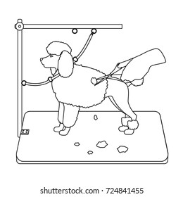 Haircut pet in a stylish salon. Pet,dog care single icon in outline style vector symbol stock illustration web.