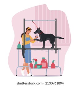 Hairdresser Female Character Cutting Dogs Talons with Clippers in Salon, Groomer Woman Provides Grooming Service, Domestic Animal Sit on Table, Puppy Beauty. Cartoon People Vector Illustration