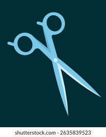 Hairdresser Tools and Hair Care Items Flat Design,Beauty Tools for Hair Treatment vector illustation