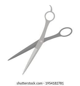 Hairdressing scissors for filling on a white background