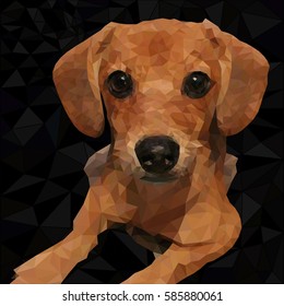 haired small dog dachshund in the style of Low Poly, a dog on a black background, vector image