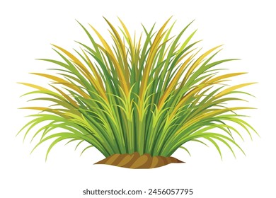 Hairgrass flat vector illustration on white background.