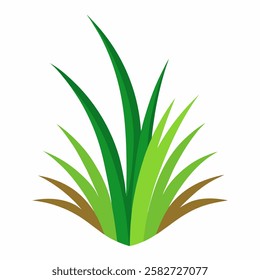 Hairgrass flat vector on white background.