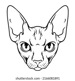 hairless cat face vector illustration