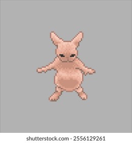 Hairless cat, pixel art meme