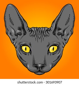 hairless sphinx cat face graphics, outline black and white