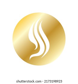 Hairllogo vector image design illustration