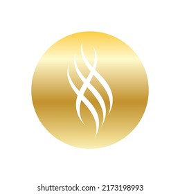 Hairllogo vector image design illustration
