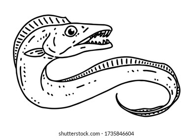 Hairtail(Cutlassfish). Vector line art illustration.