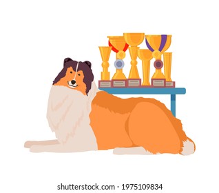 Hairy Collie dog resting near to her awards, medals and cups. Pet winner of dog shows. Vector illustration isolated on white background
