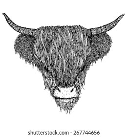 Hairy cow with patterns