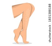 Hairy female legs vector isolated. Before hair depilation. Love your body, idea of body positive. Skin care, woman body.