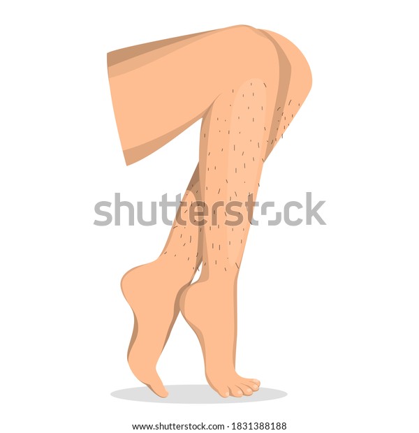 Hairy\
female legs vector isolated. Before hair depilation. Love your\
body, idea of body positive. Skin care, woman\
body.