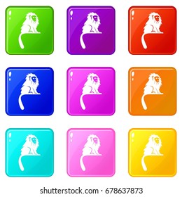 Hairy monkey icons of 9 color set isolated vector illustration