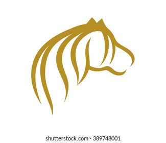 Hairy Pony Horse
