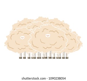 Hairy sheep flock. Shaggy lamb herd. vector illustration