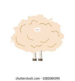 Hairy sheep isolated. Shaggy lamb vector illustration