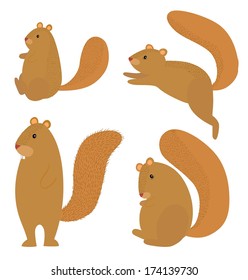 Hairy squirrel icon set on white background 