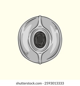 Hajar Aswad, Black Stone in Kabaa