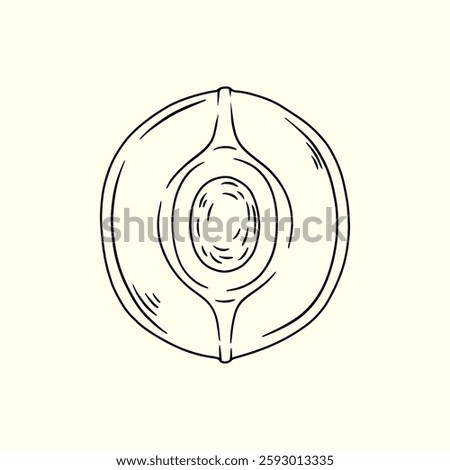 Hajar Aswad, Black Stone in Kabaa. Thin Line Illustration.