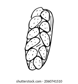 Hala Israeli bread vector illustration, hand drawing doodle