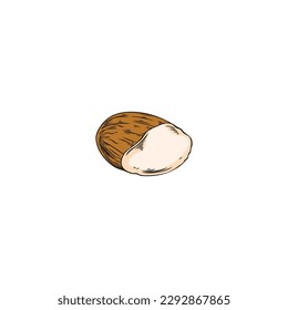 Half of almond nut, hand drawn sketch vector illustration isolated on white background. Healthy food and nutrition. Engraved almond nut drawing in retro style.