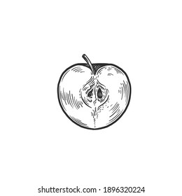 Half an apple. Can be used as a sketch of a tattoo.