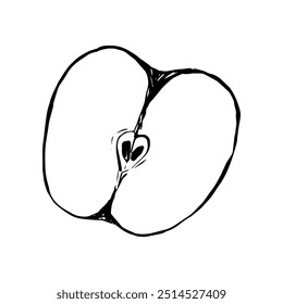 Half an apple drawing, vector hand drawn illustration, sketch style, isolated on white background