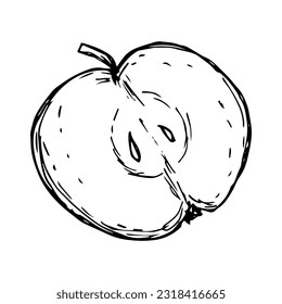 Half of apple, hand-drawn. Isolated fruit sketch on white background.
