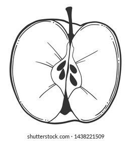Half of apple. Vector concept in doodle and sketch style. Hand drawn illustration for printing on T-shirts, postcards. Icon and logo idea.
