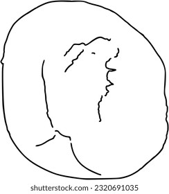 Half apricot pitted berry vegetable garden food harvest doodle linear cartoon coloring