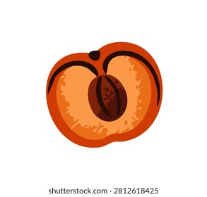Half of apricot with stone. Cut part of nectarine. Piece of peach. Fresh tropical fruit for healthy eating. Exotic food for proper nutrition. Flat isolated vector illustration on white background