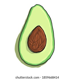 Halber Avocado mit Knochen einzeln auf weißem Hintergrund.  Farbige Vektorgrafik für Design, Plakate und Druck.
