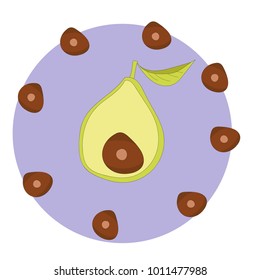Half of avocado  in frame