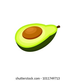 Half of avocado fruit cartoon vector Illustration