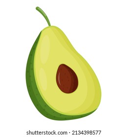 Half of avocado isolated on white background. Flat vector illustration