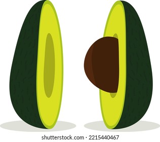 Half an avocado with a pit. Vector illustration.