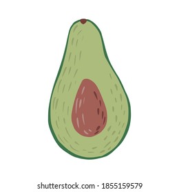 Half avocado with seed isolated on white background. Abstract botanical illustration in doodle vector illustration.