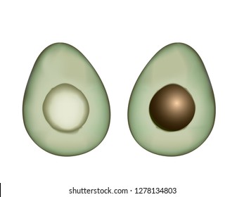Half avocado and seed on white background isolate.
