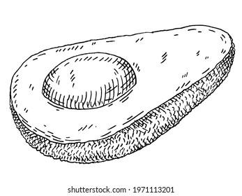 Half avocado with seed. Vintage vector hatching monochrome black illustration. Isolated on white background. Hand drawn design