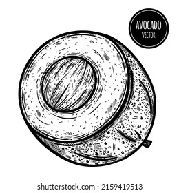 Halb Avocado, Vektorsymbol. Handgezeichnete Skizze reifer exotischer Früchte. Avocado geschnitten quer mit einem runden Samen. Frische gesunde Lebensmittel, Gartenpflanzenumrisse. Botanische Illustration einzeln auf Weiß