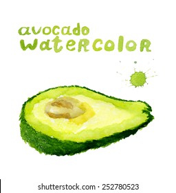 Half avocado ,vector watercolor painting on white background, healthy food
