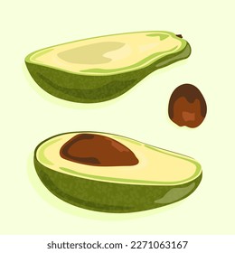 Half an avocado with and without pit. Isolated vector image of vegetables. Vector image of food.