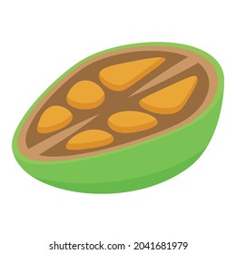 Half baobab fruit icon isometric vector. African tree. Plant product