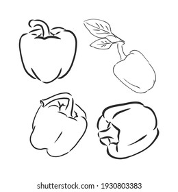 Half a bell pepper. Black and white vector illustration. Isolated on a white background.