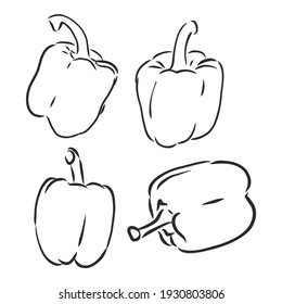 Media pimienta. Ilustración vectorial en blanco y negro. Aislado sobre un fondo blanco.